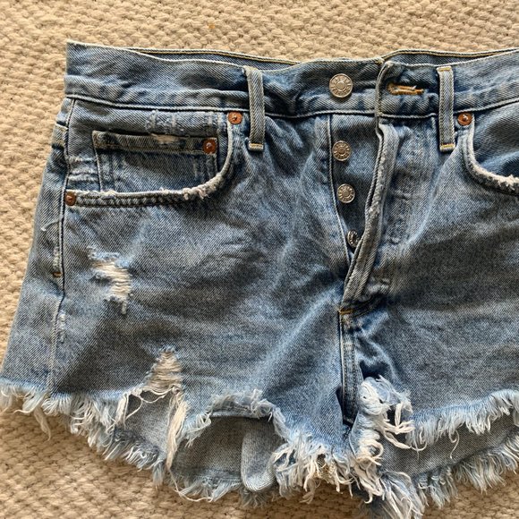 Agolde Vintage Parker Shorts